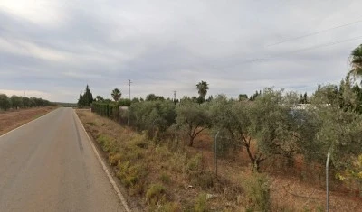 Ajoporro