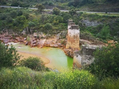 Alamillo Rural