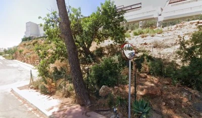 Almazara Views