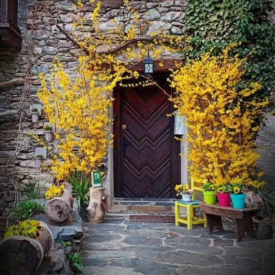 Casa Janxic Turisme Rural a Lladorre