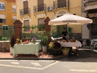 Alojamientos El Carmen