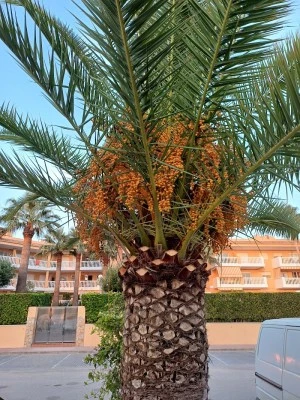 Apartament Bella Vista w Piles