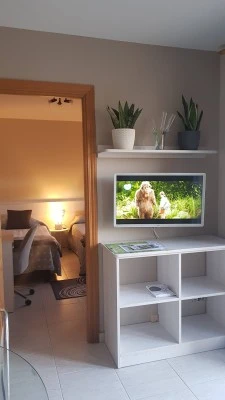Apartament Vista Pirineo+parking