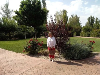 Apartamentos Boalar