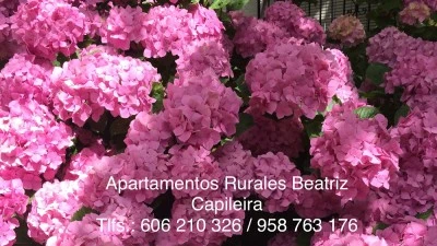 Apartamentos Rurales Beatriz