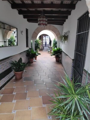 Apartamentos Turísticos Los Patios