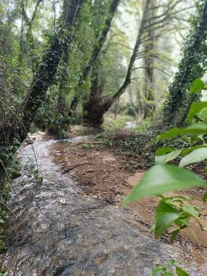 Aracena Rural Experiencias