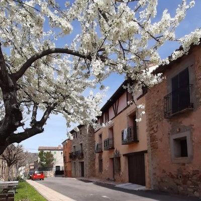 Arévacon VUT