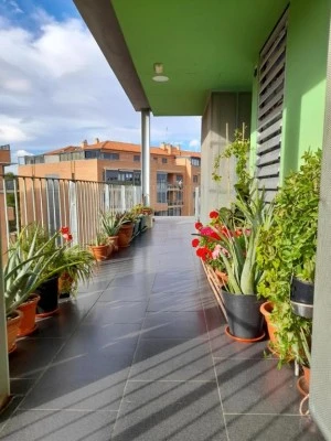 Armonia y Tranquilidad - Alojamiento Albacete