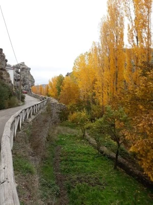 Balbino (CR061)
