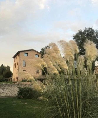 Cal Fuster Apartaments