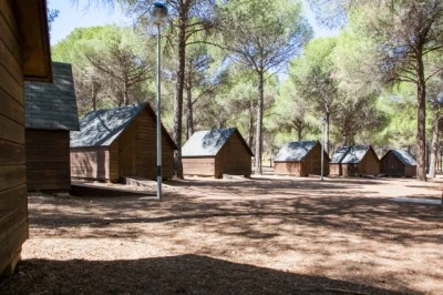 Campamento puente de retama