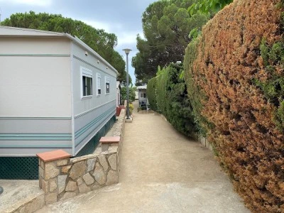 Camping El Carro