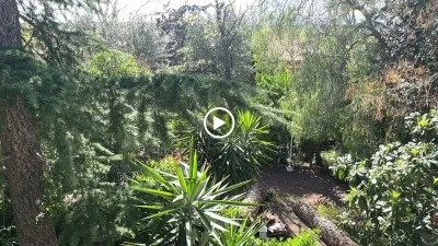 Can Cactus Garriguella