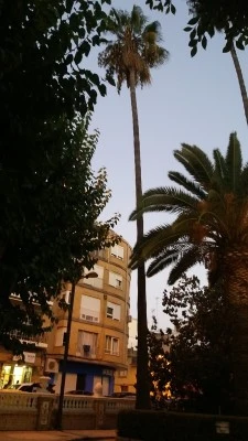 Centre de migracions Sueca