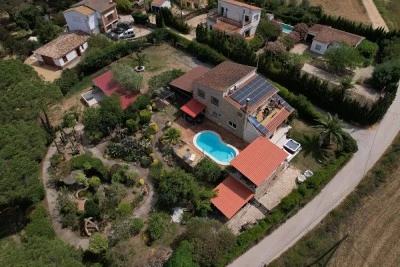casa de palmeras