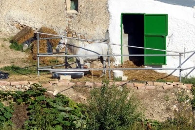Casa Erizo