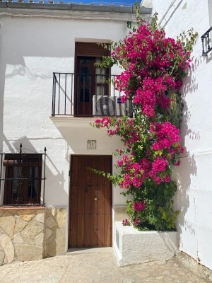 Casa La Buganvilla