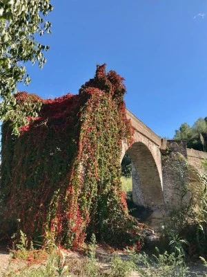 Casa Rural ALTO PALANCIA