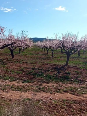 Casa Rural Benlloch - Venta