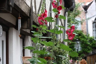 Casa Rural El Cid