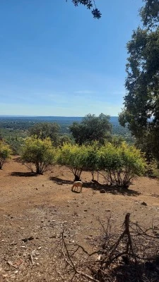 Casa Rural La Lima