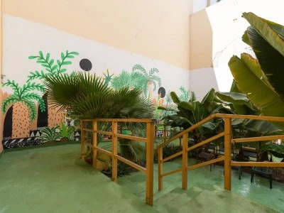 Jungle House