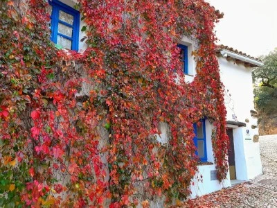 Casita collado 1