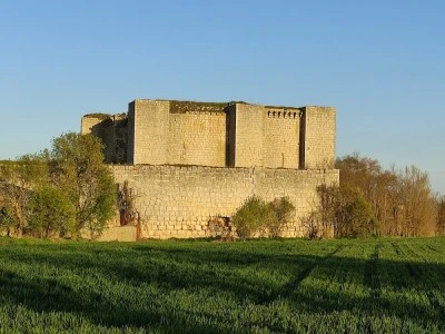 Castillo de Alfonso Téllez de Meneses (s. XIII - XV) (en ruinas)