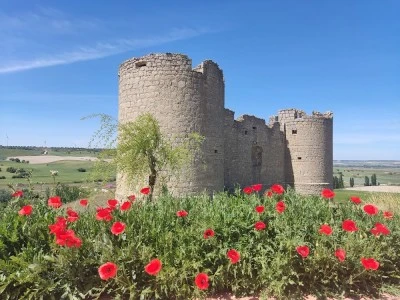 Castillo de Hornillos de Cerrato o de los Enríquez