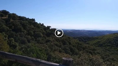 Cerro Negrillo