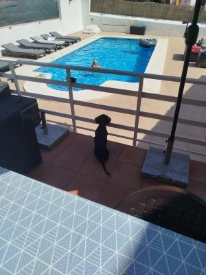Chalet Montesol
