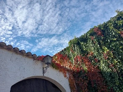 El Convento