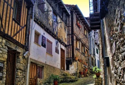 El Pino Vut