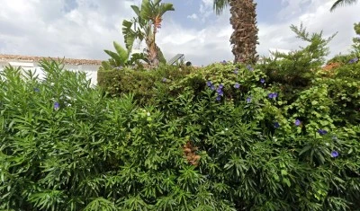 Estudio a 10 minutos del Puerto Banus