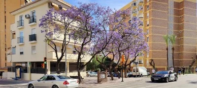 Estudio Arroyo de la Miel Benálmadena