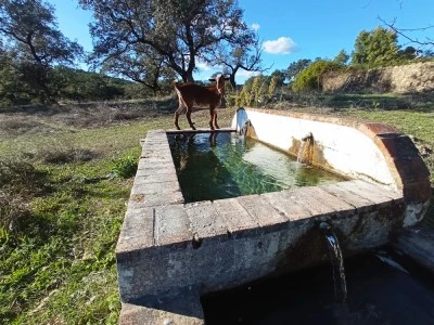 Finca El Charcón Alojamiento rural