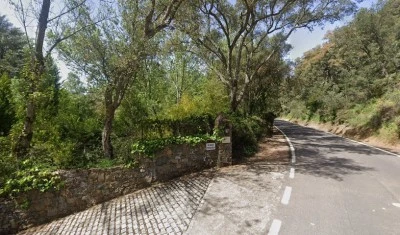 Finca El Molino Blanco