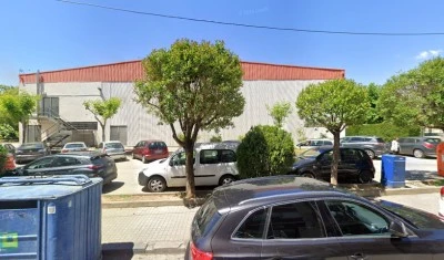 Francisco Tomás y Valiente