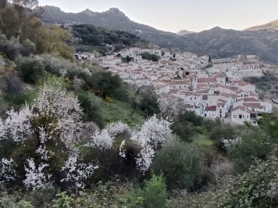 Home in Nature