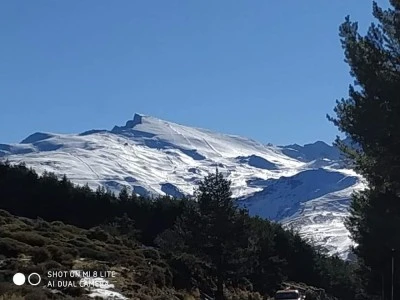 APARTAMENTO TERRAZAS DE MONACHIL