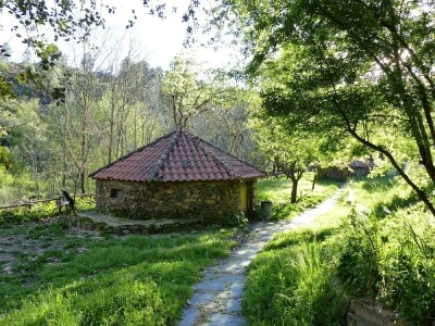 La Escuela del Bosque