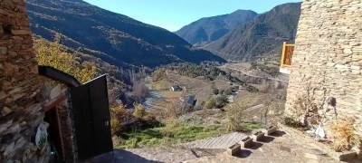 La moixoneta