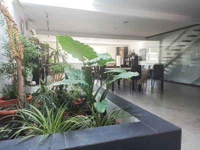 Loft Carrasketa, Alfafara