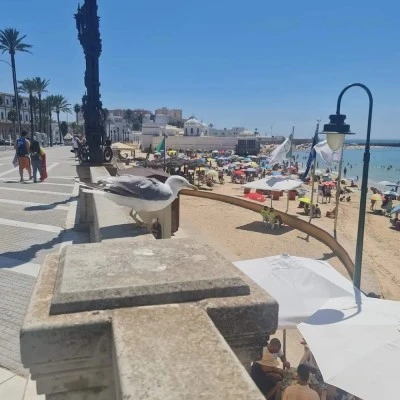 AC Gestión: Alquiler vacacional Cádiz - OFICINA