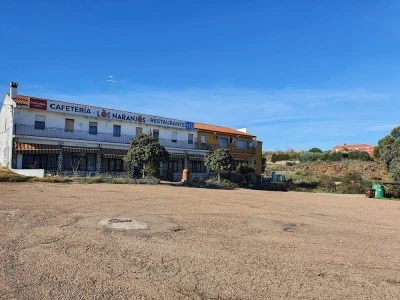 Los naranjos