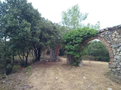 Mas d'en Vall