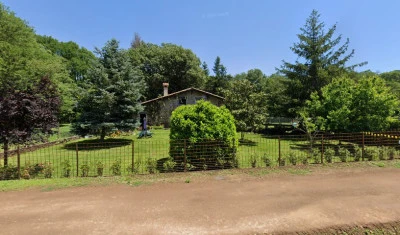 Mas Els Plans - La casa pensada para perros que viajan con sus humanos