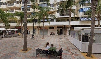 Palm Tree Apts