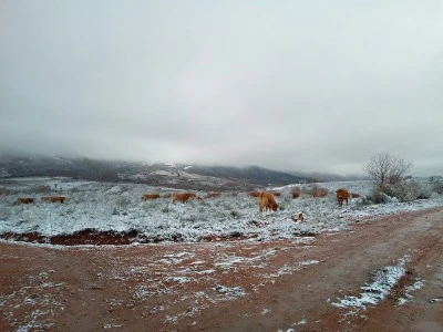 Pueblo Molinete